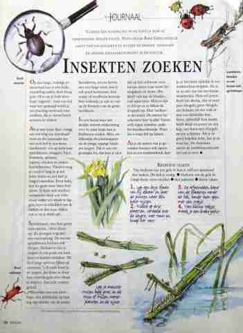 Enlarge 10 illustratie Seasons 1