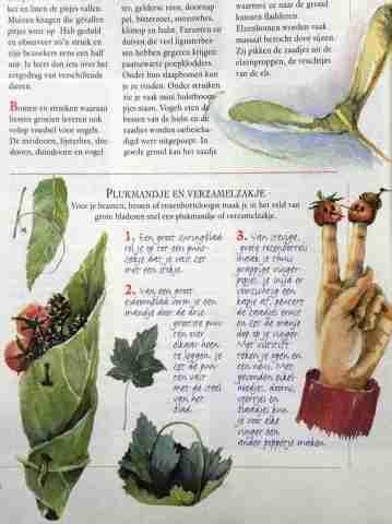 Enlarge 12 illustratie Seasons 2
